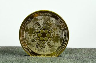 best bitcoin wallet for canadians