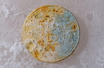 best bitcoin wallet for india
