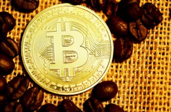 bitcoin halving countdown guru