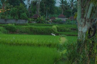 bali rupiah to usd conversion