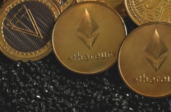 best bitcoin wallet for algeria