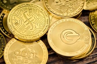 best bitcoin wallet for brazil 1