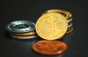 best bitcoin wallet for brazil