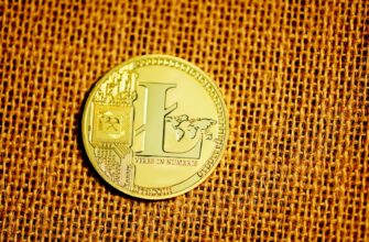 best bitcoin wallet for deep web 1