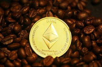 best bitcoin wallet for egypt