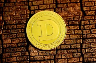 best bitcoin wallet for india