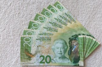 best bitcoin wallet for new zealand
