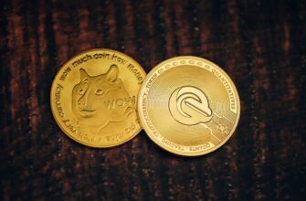 best bitcoin wallet for poland