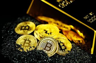 best bitcoin wallet for transactions