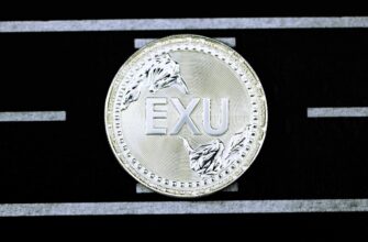 best bitcoin wallet for turkey