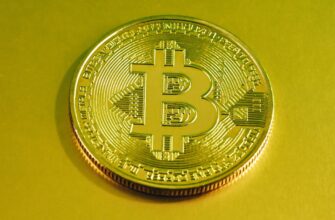 best bitcoin wallet for windows 10