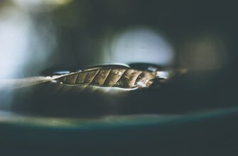best way to anonymize funds low cost