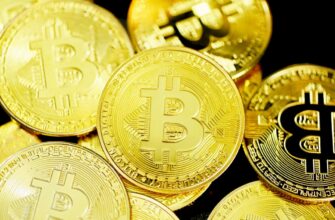 bitcoin halving countdown ne demek