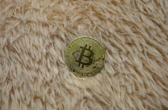 bitcoin halving countdown pst