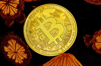 brazil bitcoin payment