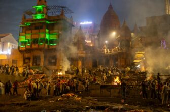 btc halving countdown india