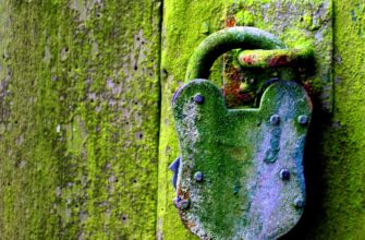 encrypt ledger safely tutorial