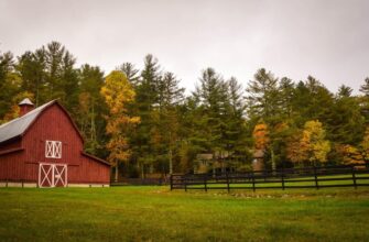 farm dot on beefy finance step by step