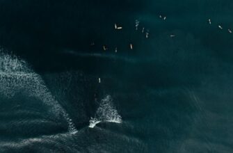 farm dot on kraken staking low risk