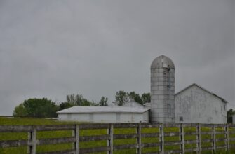 farm usdt no lock