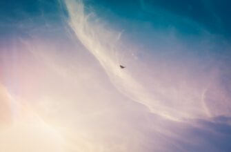free bitcoin airdrop on scroll