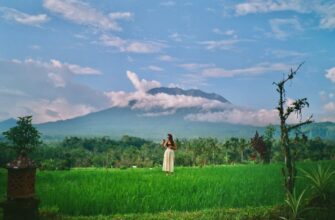free solana airdrop in indonesia