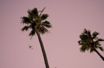 free solana airdrop in usa