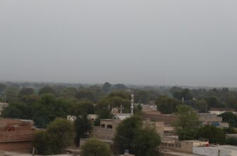 free ton airdrop in pakistan