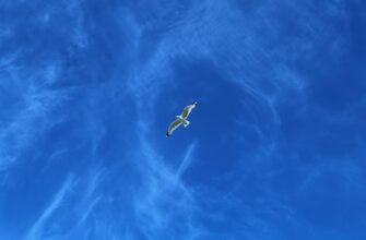 get avax airdrop on arbitrum