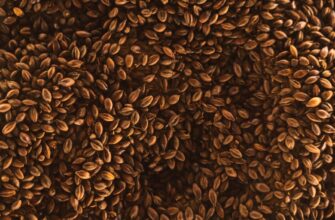 guard seed phrase in cold storage 2025 guide