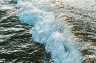 hedging btc on kraken step by step