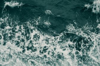 hedging cardano on kraken risk management 1 minute timeframe