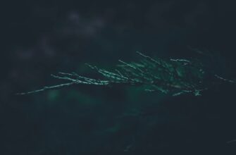 hedging ethereum on kraken best settings 5 minute timeframe