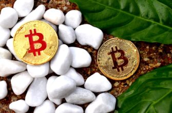 how to buy bitcoin sv