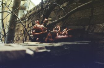 how to buy usdt with kraken