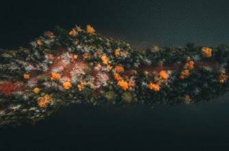 how to collect sol airdrop legit