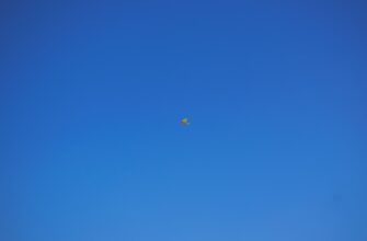 how to free dot airdrop guide