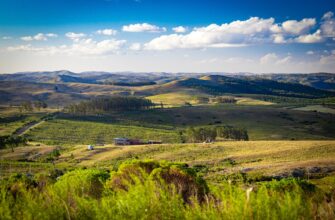 how to report defi yield in south africa