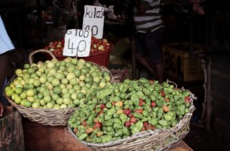 how to trade toncoin low fee in nigeria