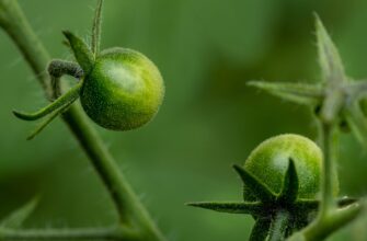 is it safe to protect seed phrase safely