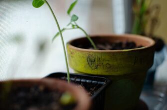 is it safe to protect seed phrase without kyc