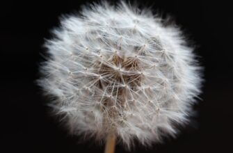 is it safe to secure seed phrase air gapped