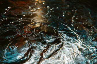liquidity mine dai on rocket pool best apy