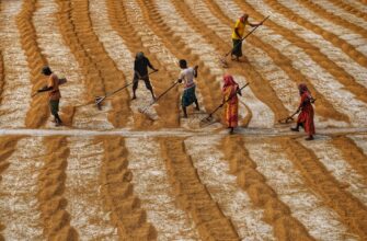 pay taxes on defi yield in india