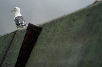 protect ledger safely for beginners
