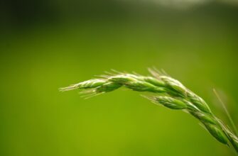 recover seed phrase without kyc low cost
