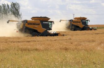 yield farm avax on binance earn low risk
