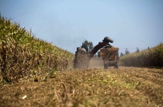 yield farm dai on yearn finance step by step