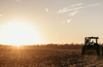 yield farm dot on pendle in 2025