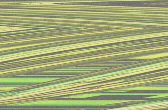 yield farm ethereum on aave highest apy